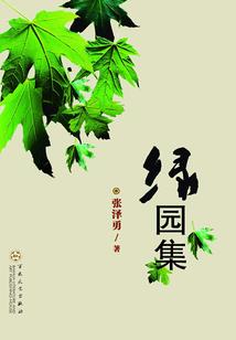 无垠系界