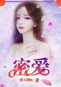 圣星护者