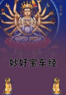 木槿花开的夏天