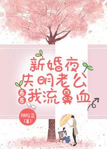 穿越之新月