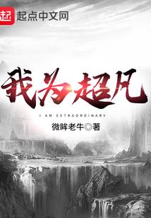四象寻回