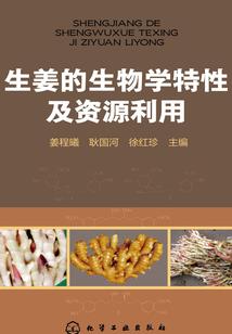 通天仙侠传