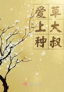 时光不负倾城色