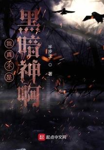 TF之我的小偷女友