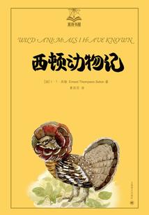 恶魔与猫