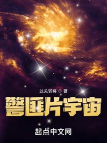 迷失方向的鸟