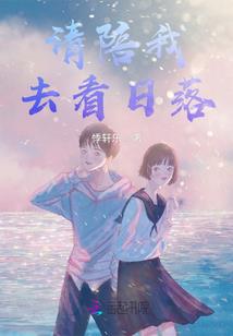 流星陨落之后