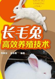 我家水缸连天界