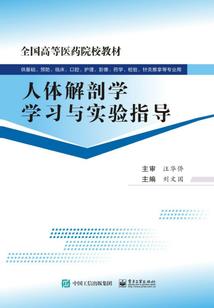 《执剑玩家》