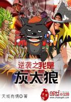 武林的科学