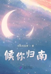 我的完美幻想