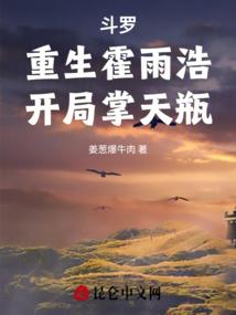 豆皮大侦探