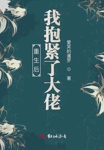 四域领主