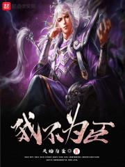 收录集