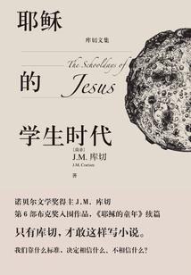 傻王魔妻之狂逆天下