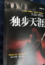 仙武全球