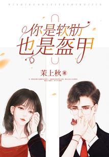 太阳与马戏团的游戏
