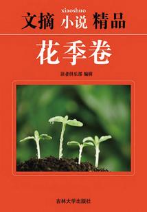 七彩灵石