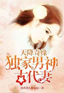 妖孽夫君腹黑娘子