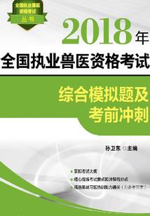 终极系列之终极符师