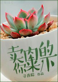 古代相公现代妻