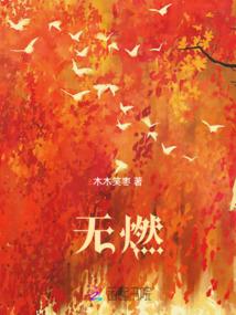 513网吧
