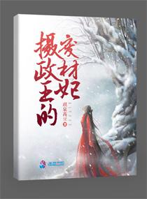 海贼王之伙伴