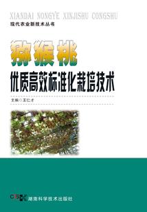 妖壤