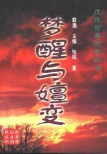 转生之混沌纪元