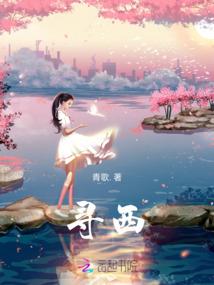 无敌系统系统