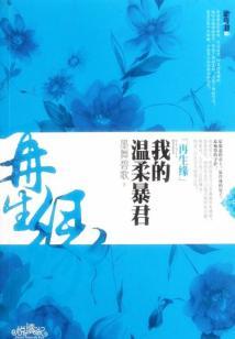 揭天录