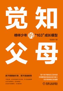我是传奇之雷霆青春