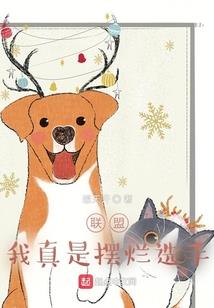无名游侠传Q