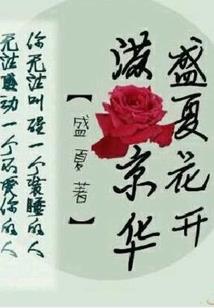 九国风华