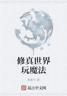 霍格沃兹的法术玩家
