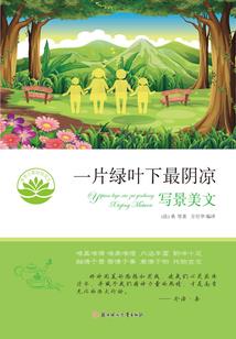 重生之三个人的爱情