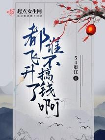 查理九世——谜案追踪