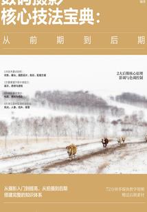 风里雨里，心中有你