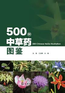先生修的是仙