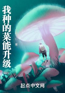 走陌路的骑士2