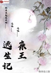 艾斯兰登异闻录