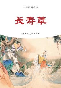 小毛小记