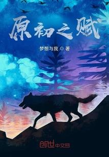 林源未决