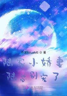 骑士之圣域秘闻
