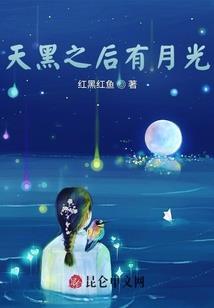 轮回之皇天