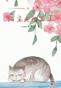 浅岛