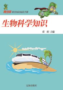 凤兮凰栖